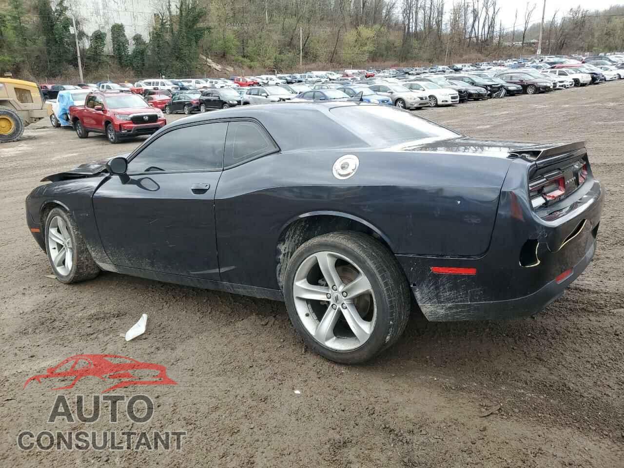 DODGE CHALLENGER 2017 - 2C3CDZBT9HH656254
