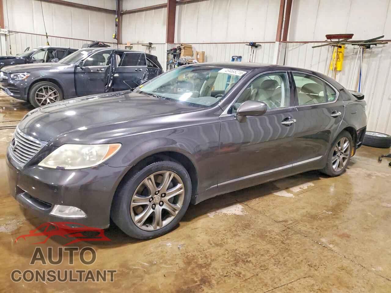 LEXUS LS460 2009 - JTHCL46F195002118