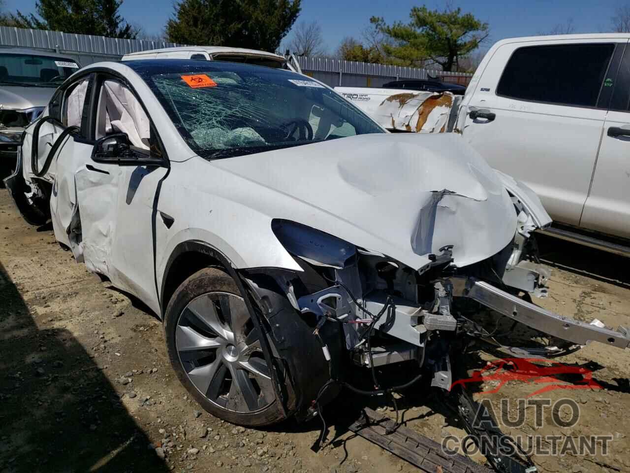 TESLA MODEL Y 2020 - 5YJYGDEE5LF048190