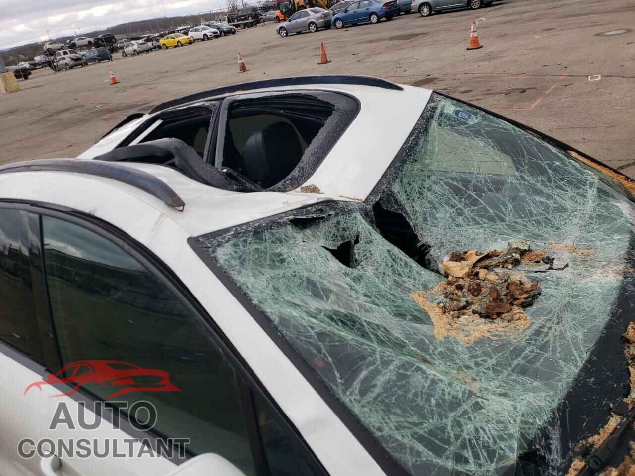 PORSCHE MACAN 2017 - WP1AA2A54HLB08640