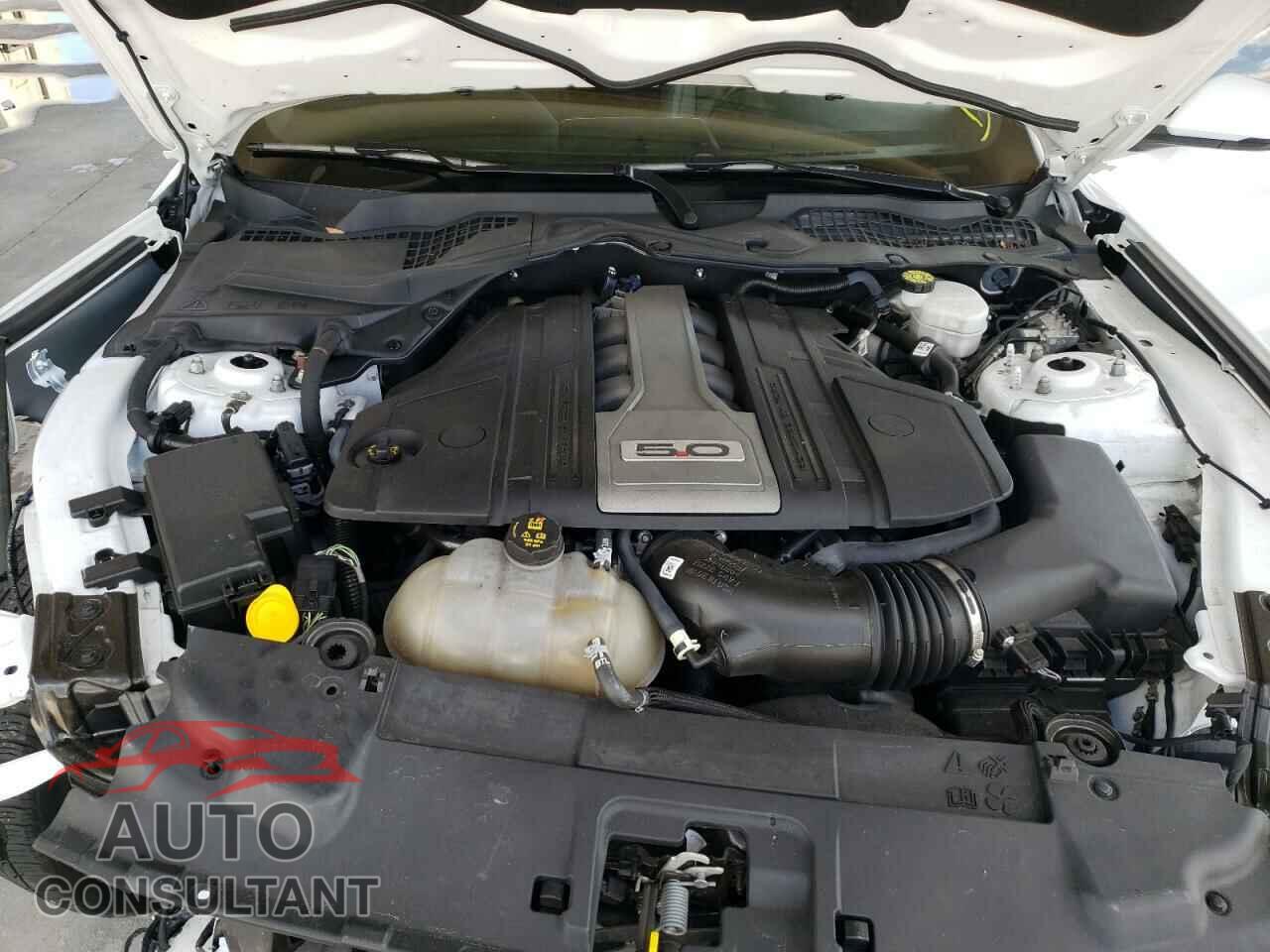 FORD MUSTANG 2019 - 1FA6P8CF6K5152512