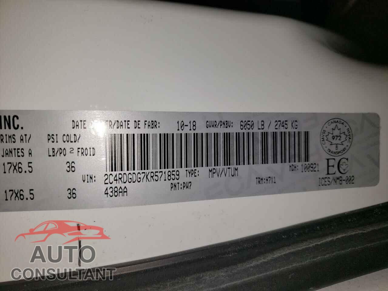 DODGE CARAVAN 2019 - 2C4RDGDG7KR571859