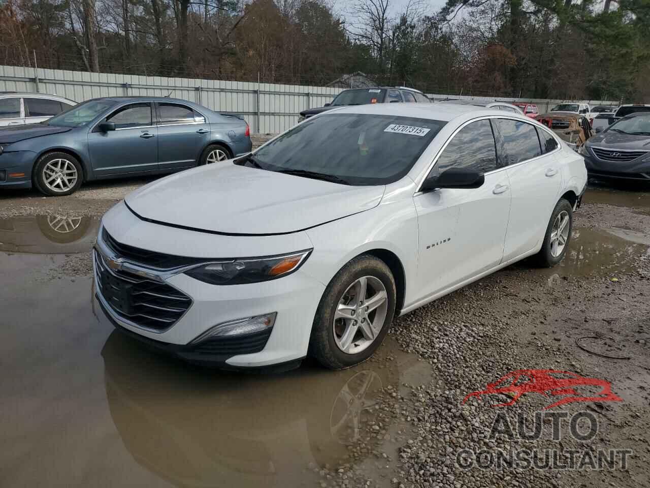 CHEVROLET MALIBU 2020 - 1G1ZB5ST9LF019484
