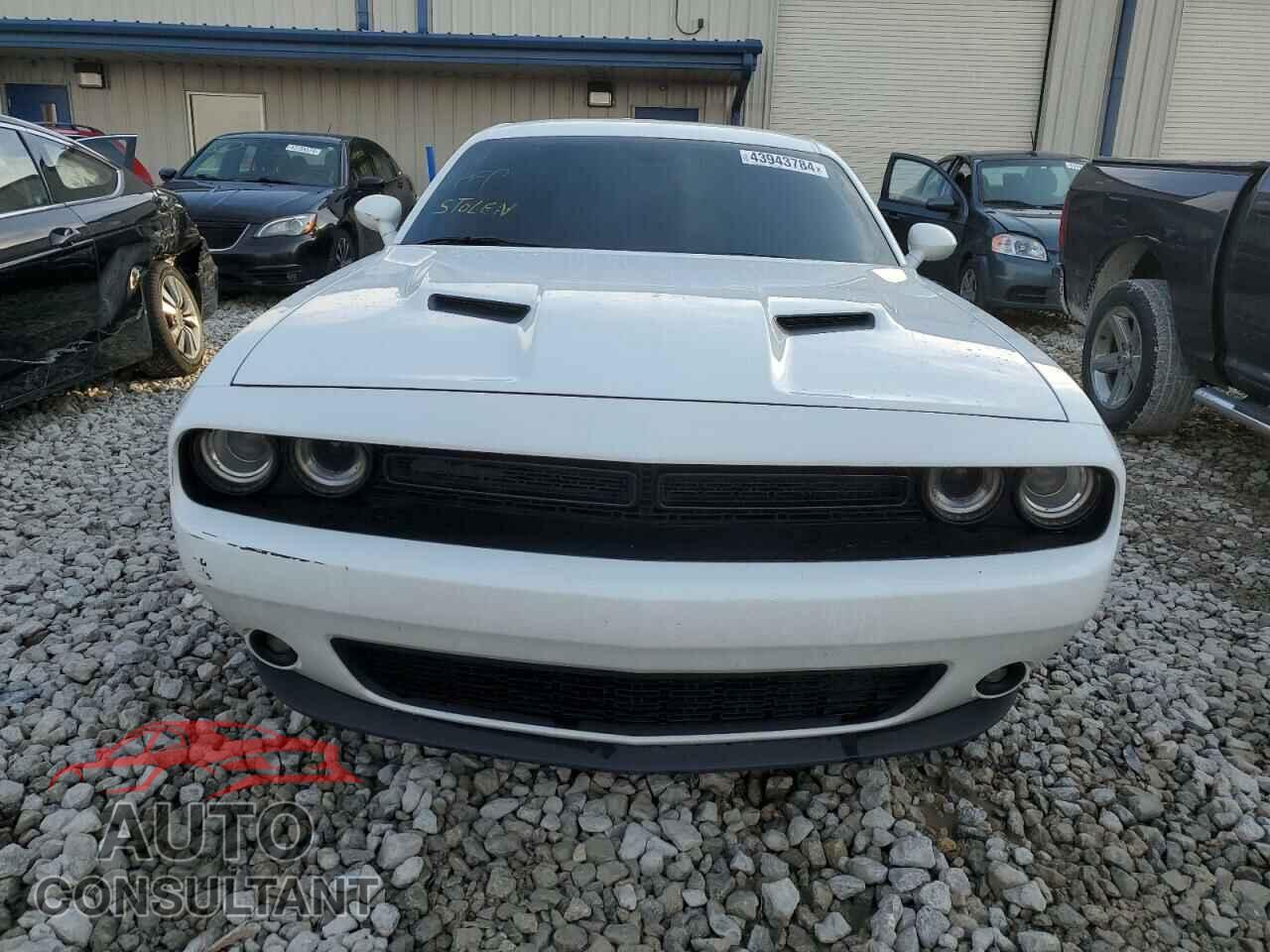 DODGE CHALLENGER 2019 - 2C3CDZAG7KH574194