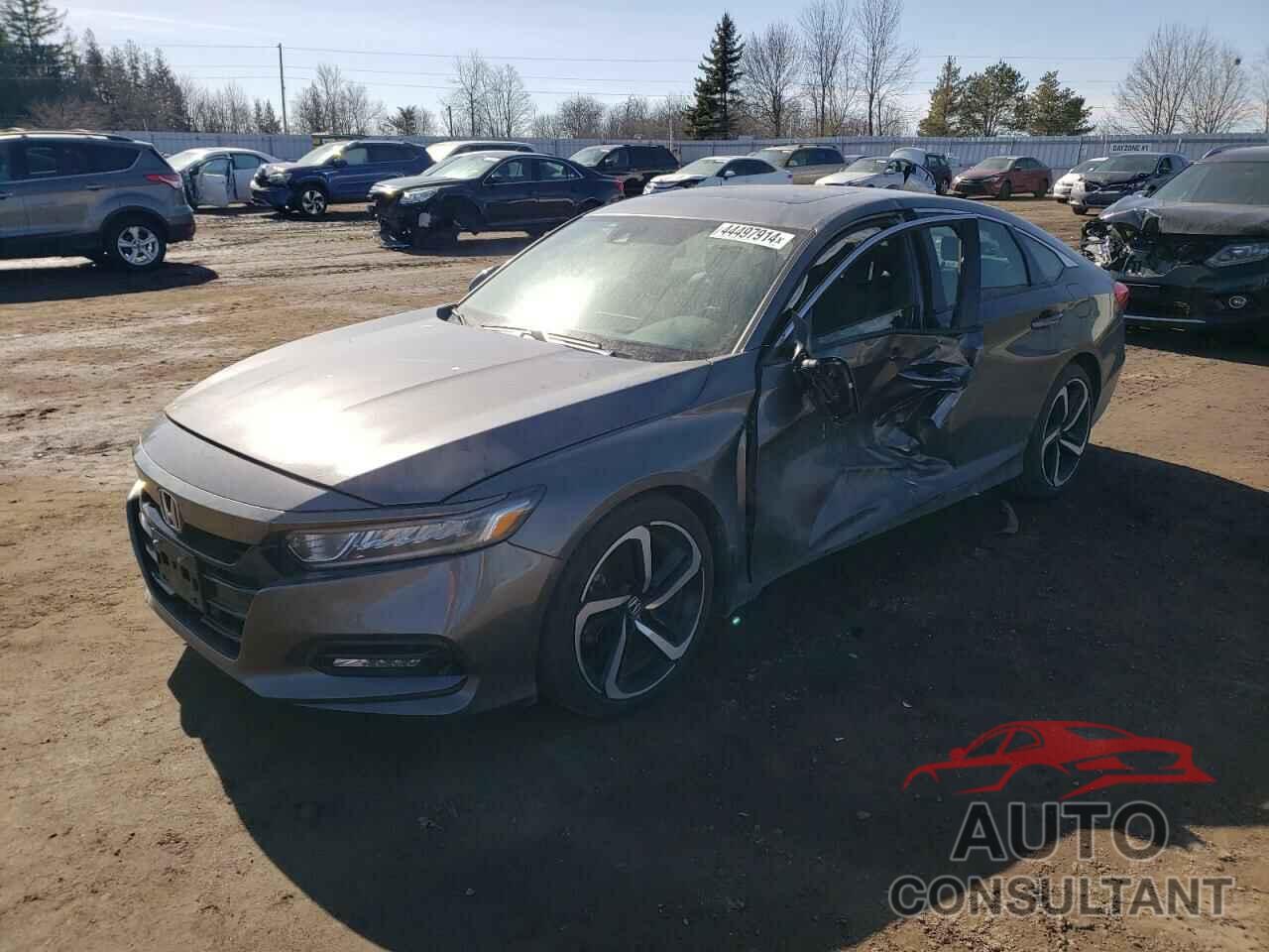 HONDA ACCORD 2019 - 1HGCV2F36KA800506