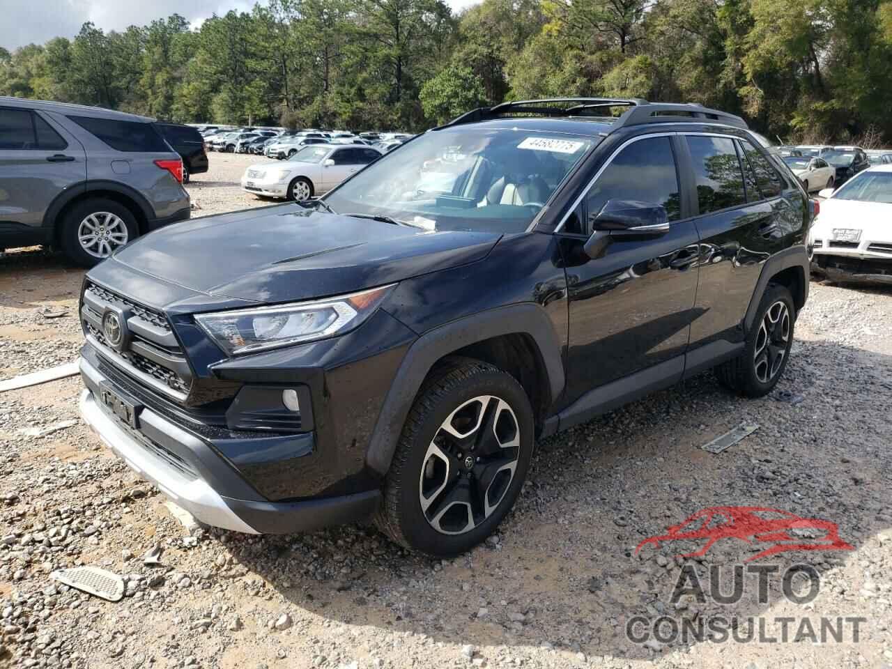 TOYOTA RAV4 2019 - 2T3J1RFV7KW006630