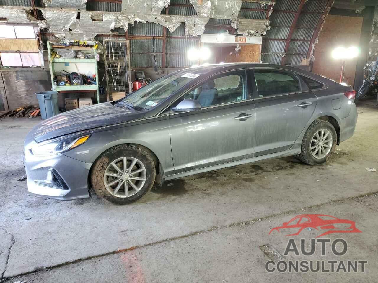 HYUNDAI SONATA 2019 - 5NPE24AF1KH798590