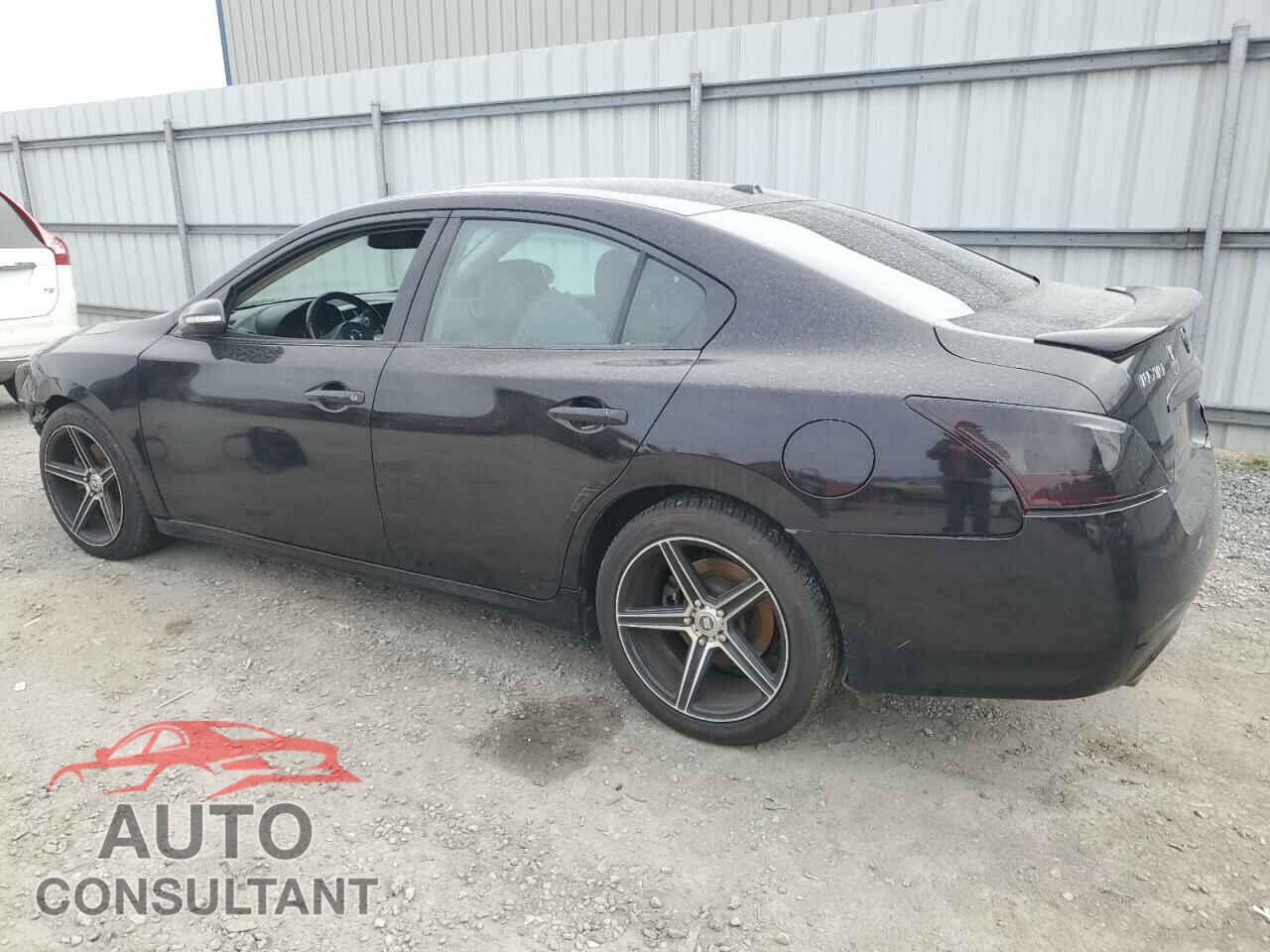 NISSAN MAXIMA 2011 - 1N4AA5AP0BC851488