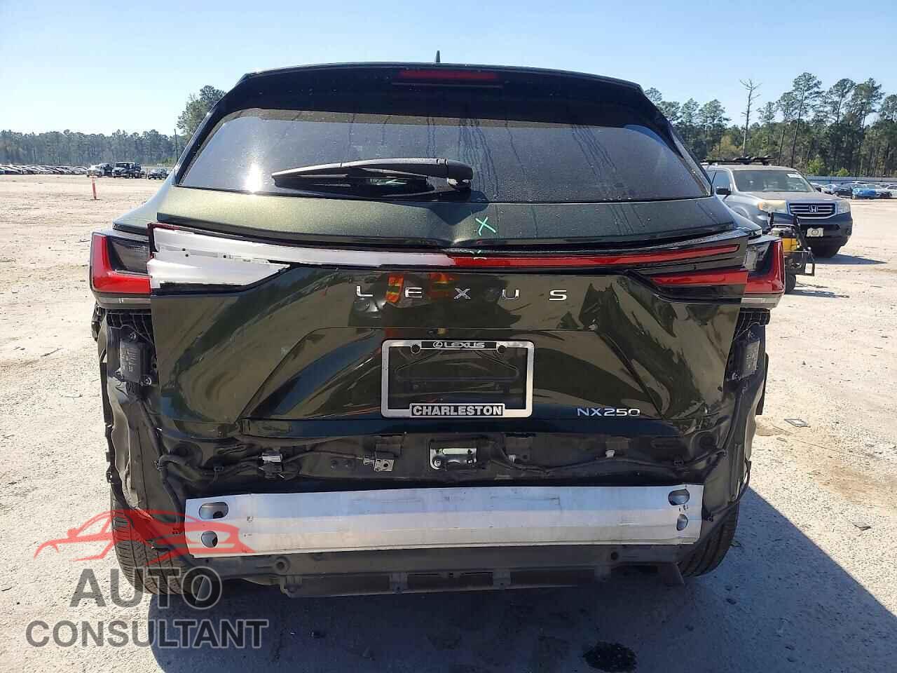 LEXUS UNKNOWN 2024 - 2T2GDCAZ6RC014095