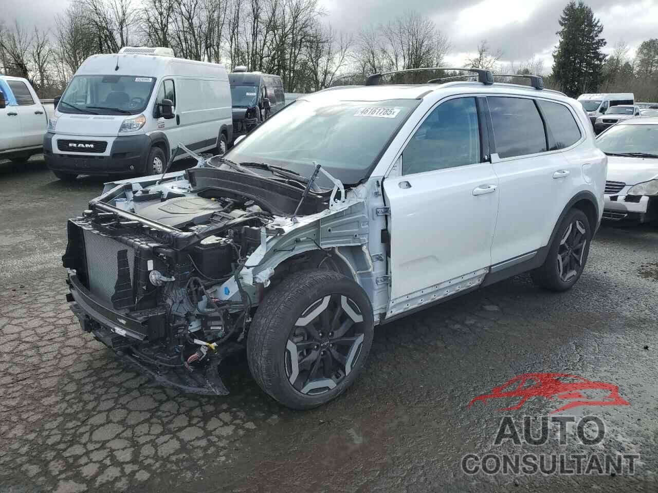KIA TELLURIDE 2024 - 5XYP3DGC2RG451676