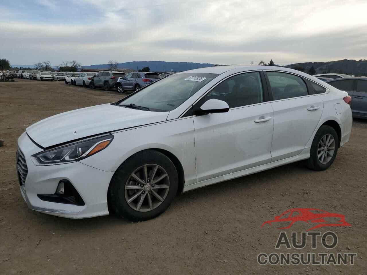 HYUNDAI SONATA 2019 - 5NPE24AF3KH792435