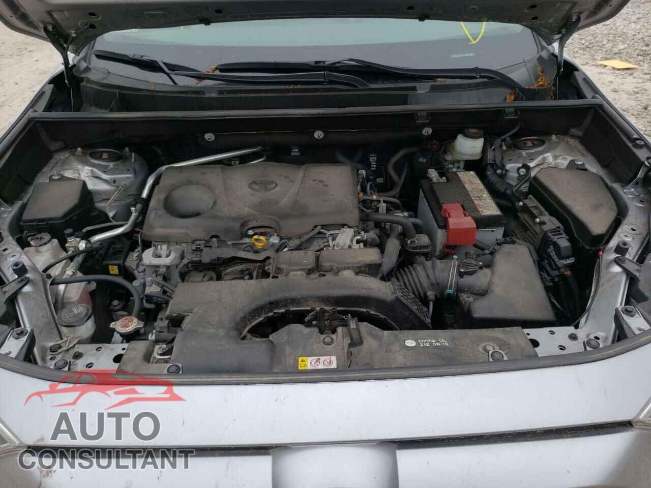 TOYOTA RAV4 2019 - JTMP1RFV4KD030519