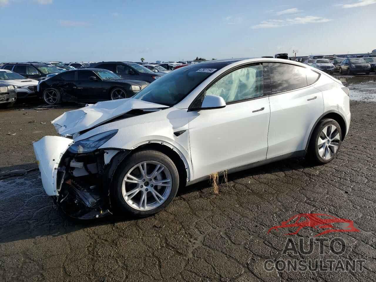 TESLA MODEL Y 2022 - 7SAYGDEE3NF428179