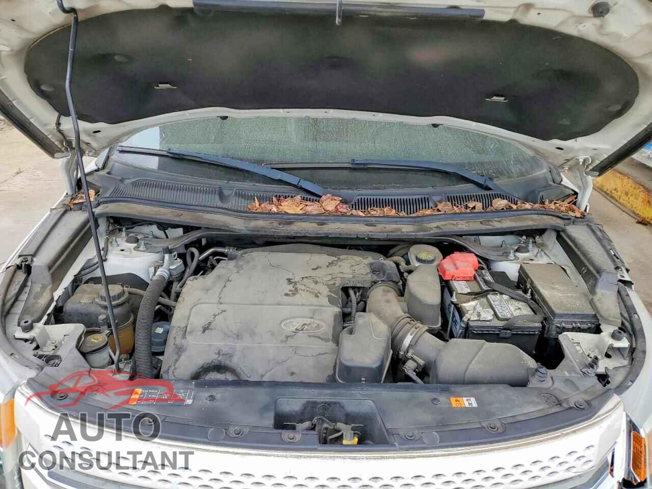 FORD EXPLORER 2013 - 1FM5K7F86DGA10059