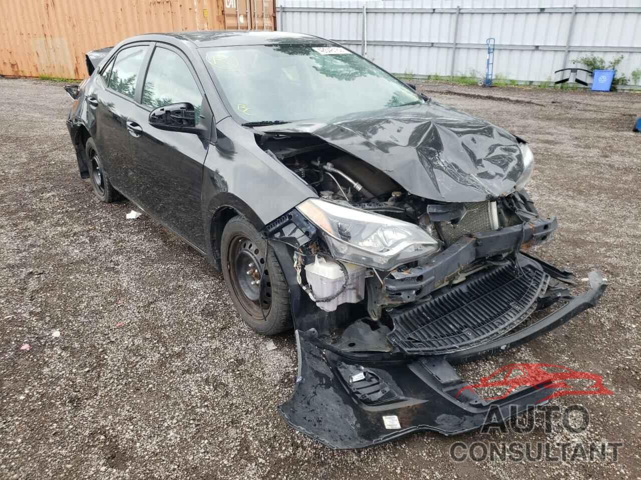 TOYOTA COROLLA 2016 - 2T1BURHE1GC516918