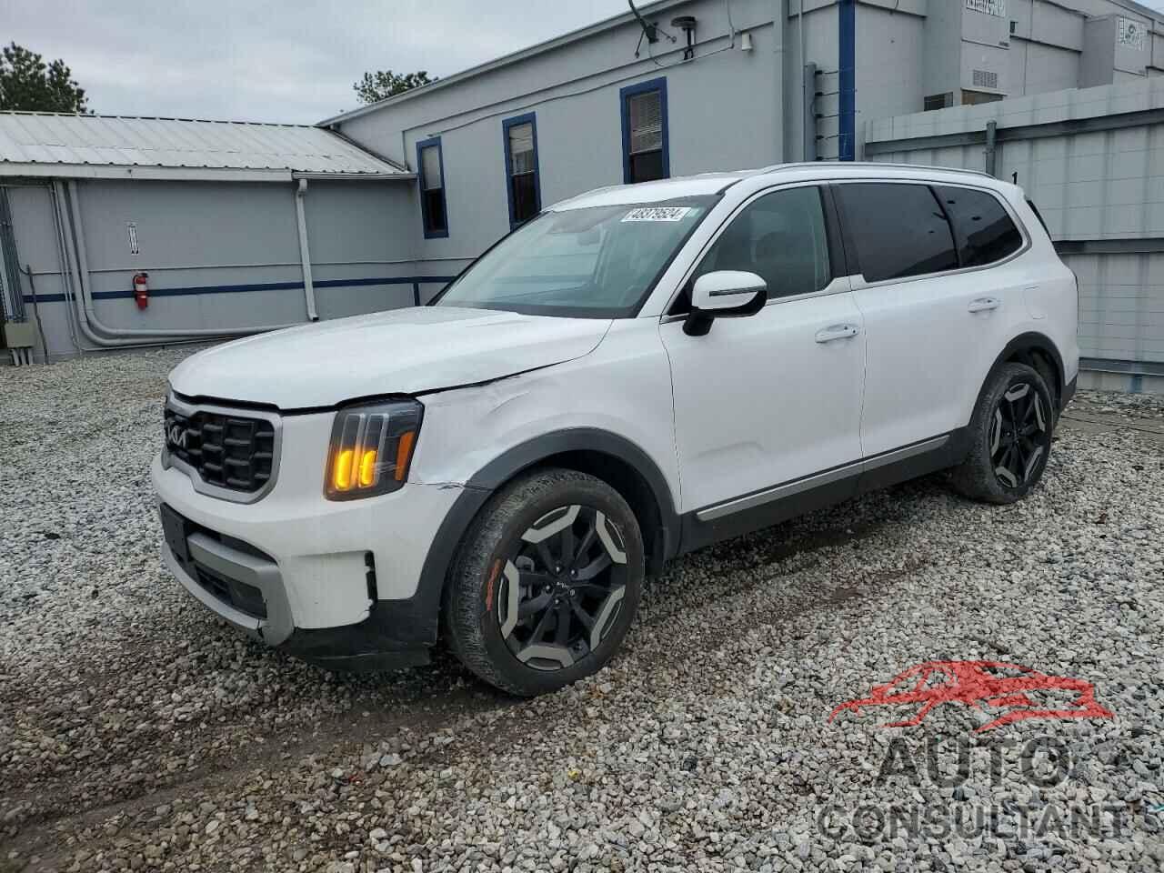 KIA TELLURIDE 2024 - 5XYP64GC7RG442771