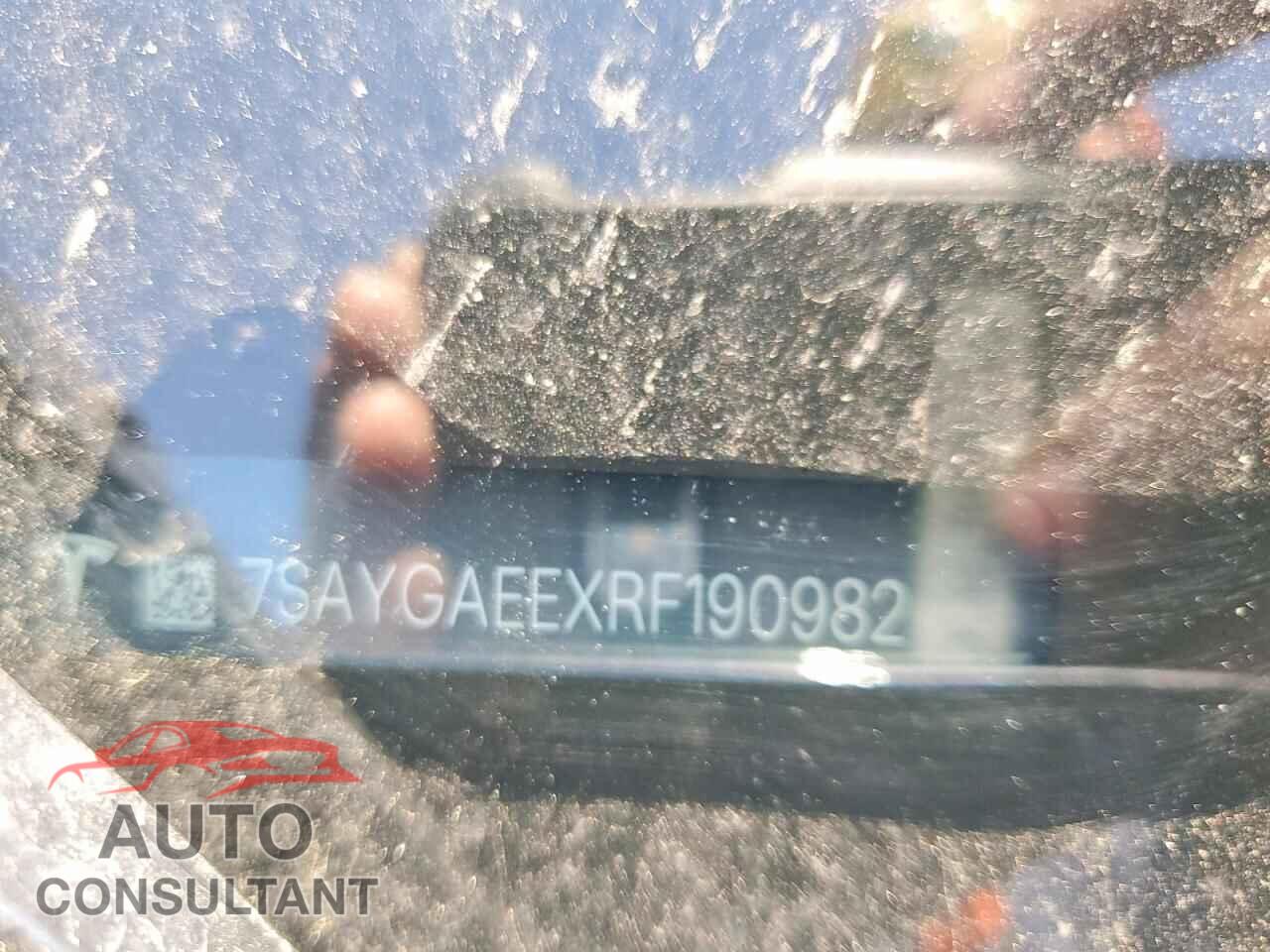 TESLA MODEL Y 2024 - 7SAYGAEEXRF190982