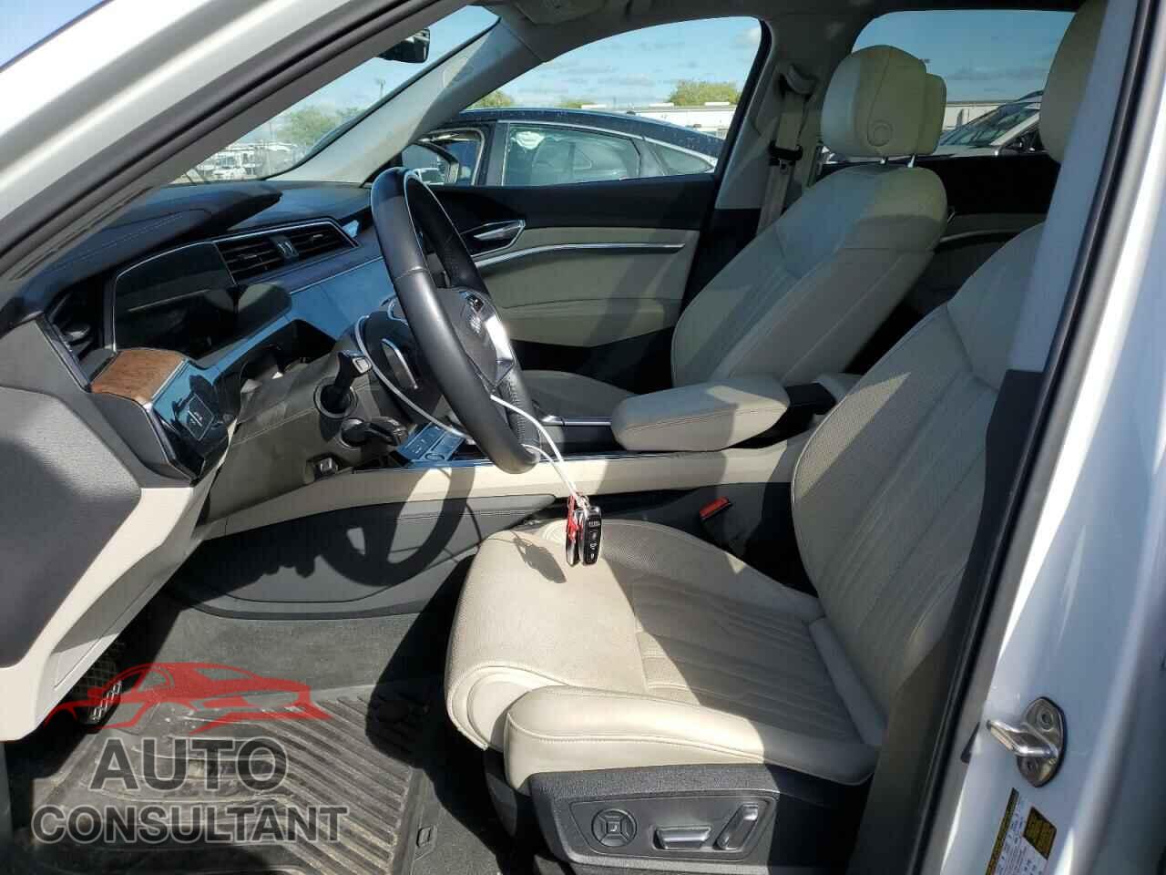 AUDI E-TRON 2019 - WA1VABGE8KB024130