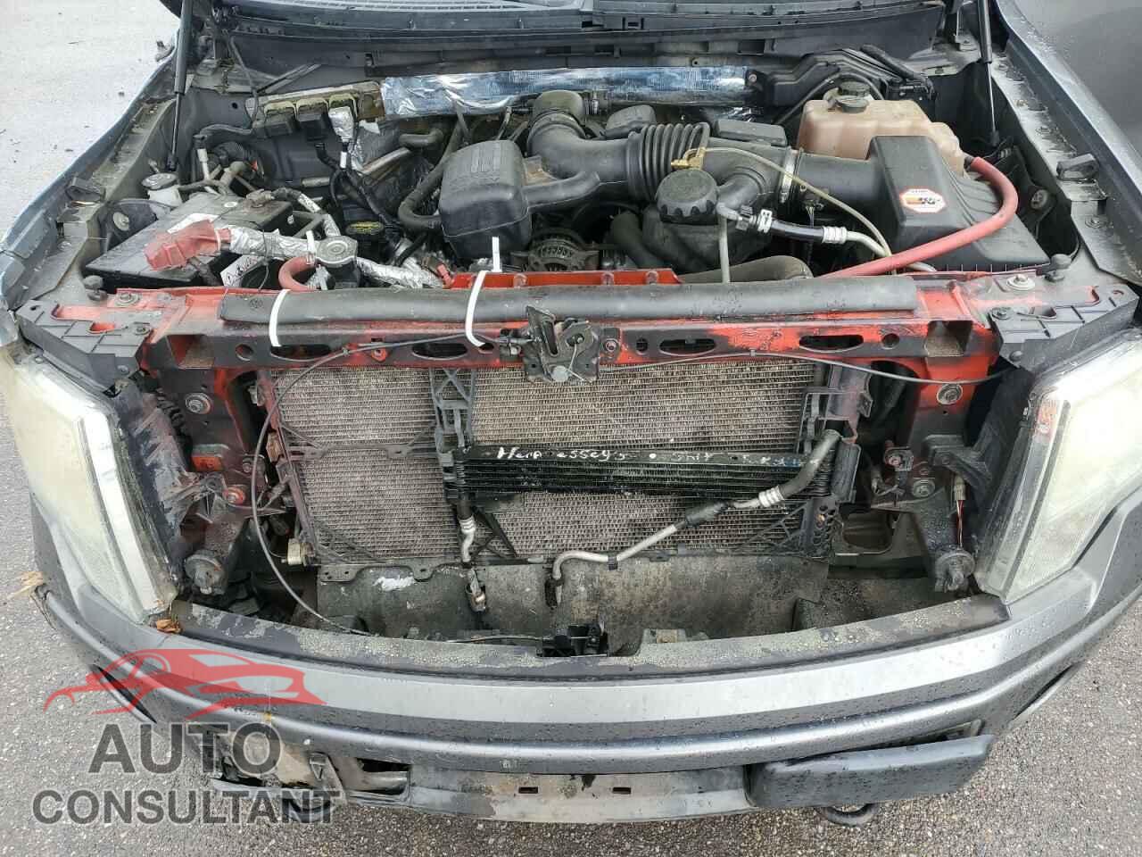 FORD F-150 2010 - 1FTFW1EV6AFA01669