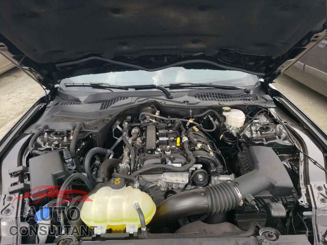 FORD MUSTANG 2021 - 1FA6P8THXM5149441