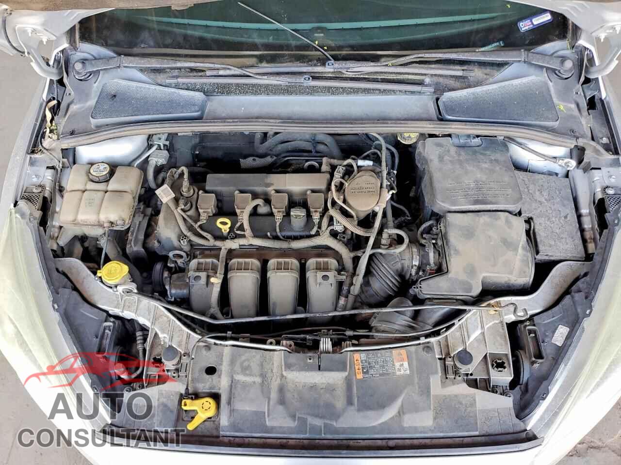 FORD FOCUS 2016 - 1FADP3E23GL297613