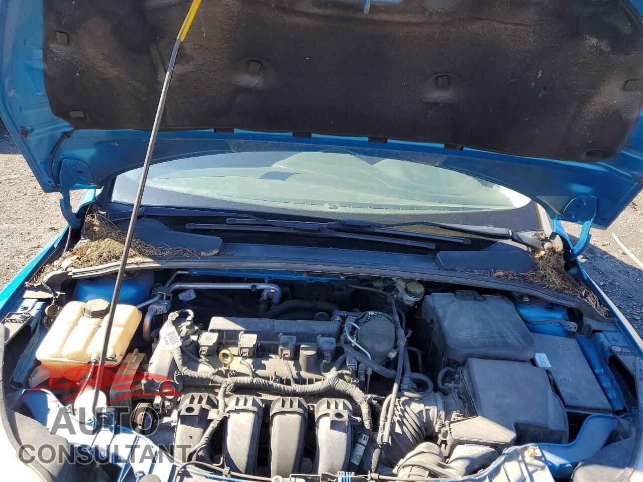 FORD FOCUS 2014 - 1FADP3F2XEL427009