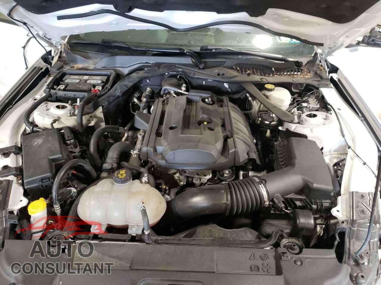 FORD MUSTANG 2019 - 1FATP8UH5K5161981