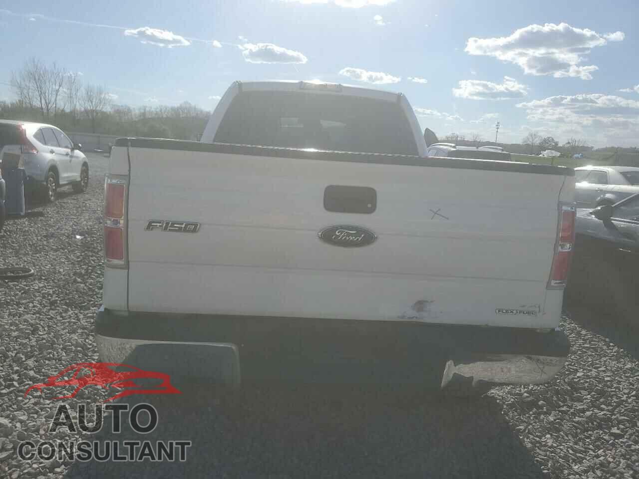 FORD F-150 2014 - 1FTFX1EF4EKD02959