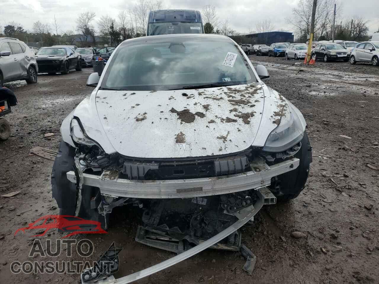 TESLA MODEL 3 2023 - 5YJ3E1EA6PF449703