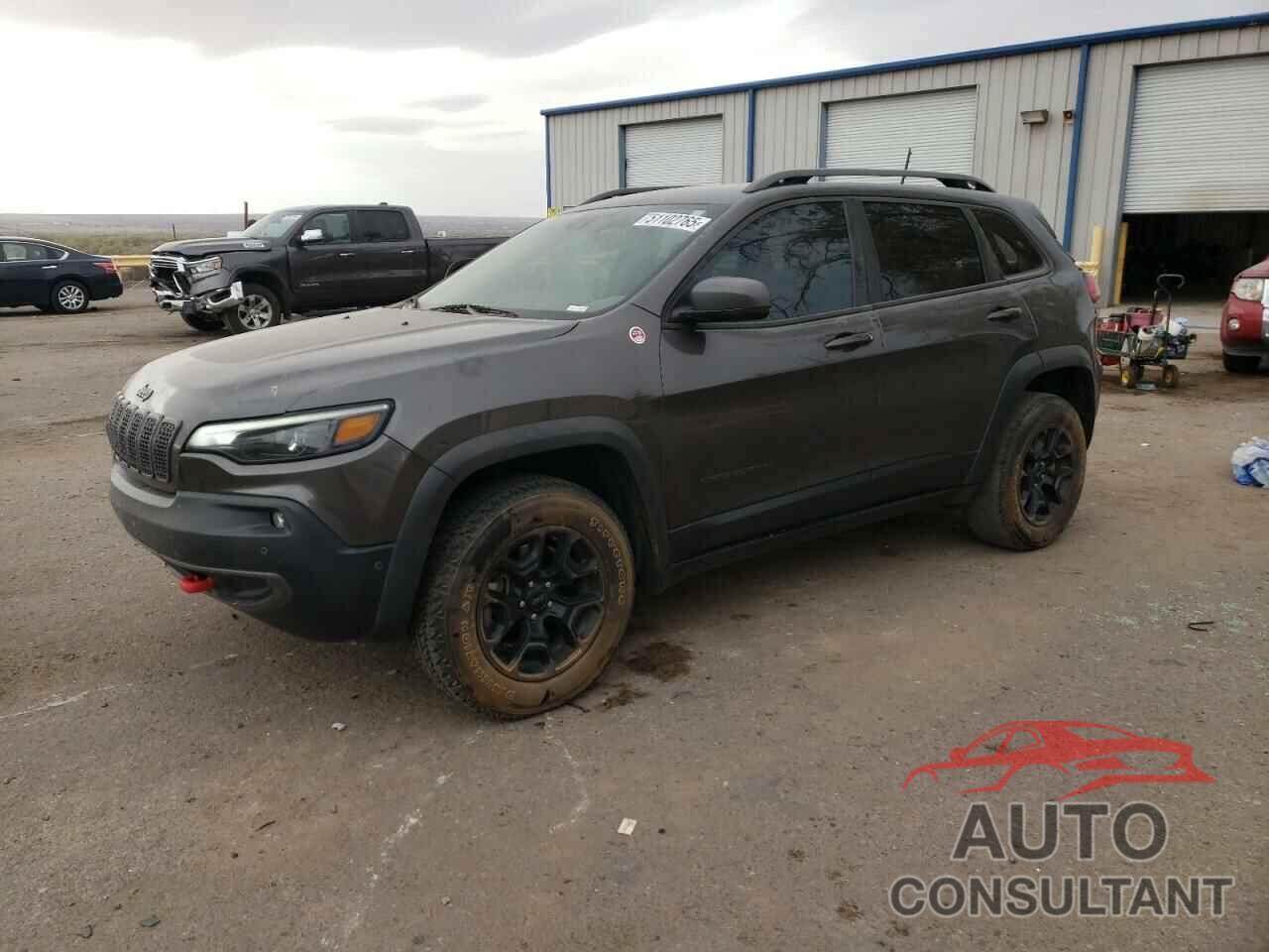 JEEP CHEROKEE 2019 - 1C4PJMBX6KD169626