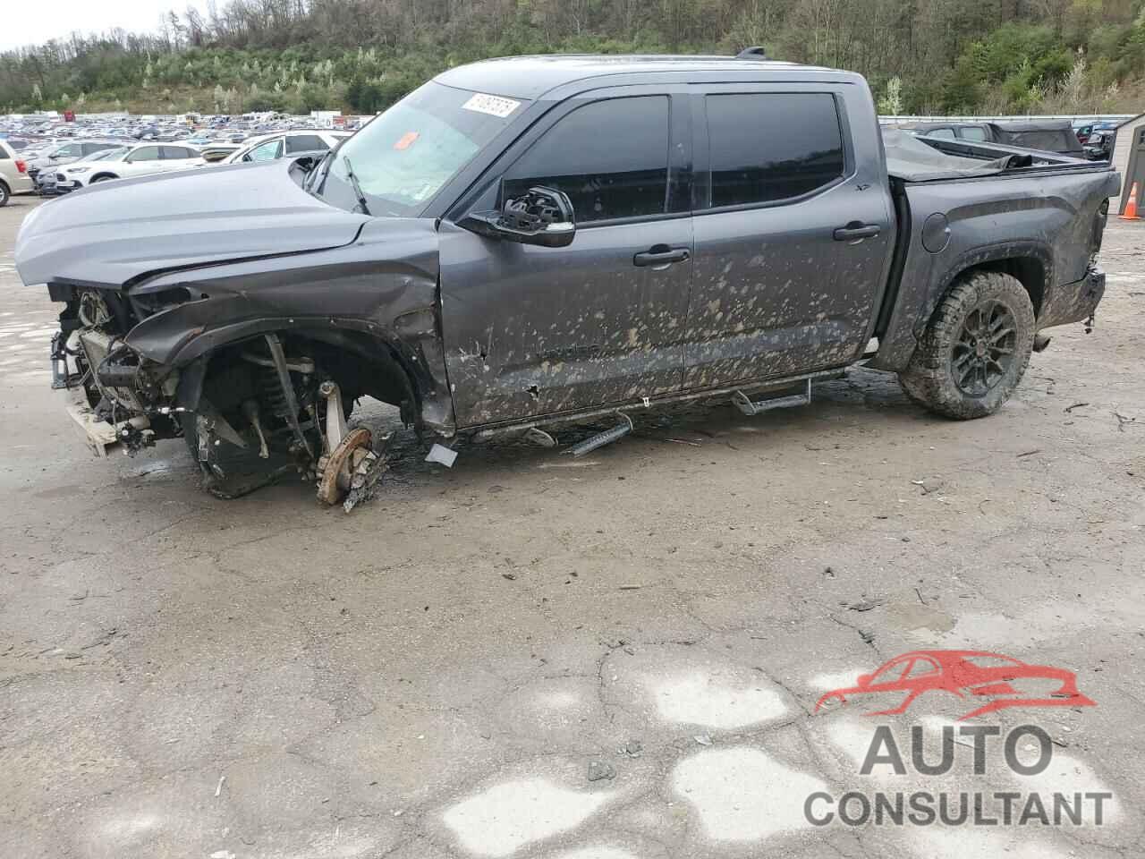 TOYOTA TUNDRA 2023 - 5TFLA5DB7PX064282
