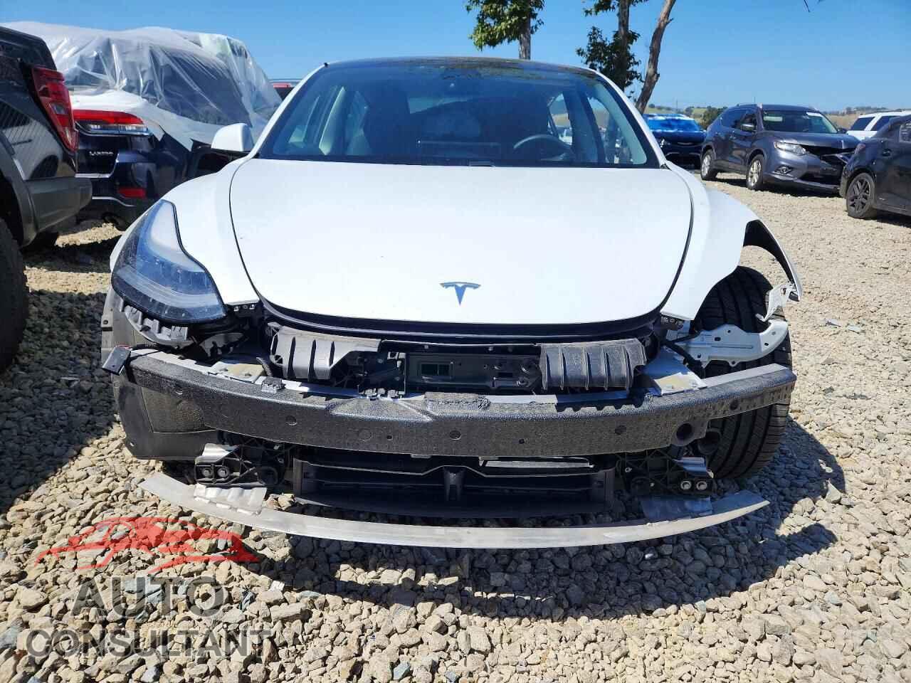 TESLA MODEL 3 2021 - 5YJ3E1EA8MF072142