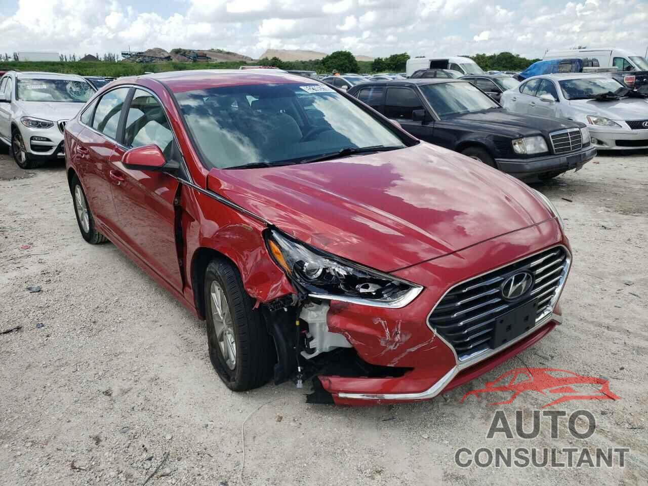 HYUNDAI SONATA 2019 - 5NPE24AF7KH802433