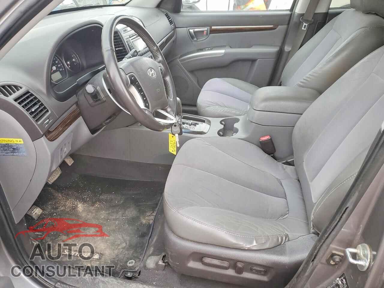 HYUNDAI SANTA FE 2010 - 5NMSGDAG6AH365811