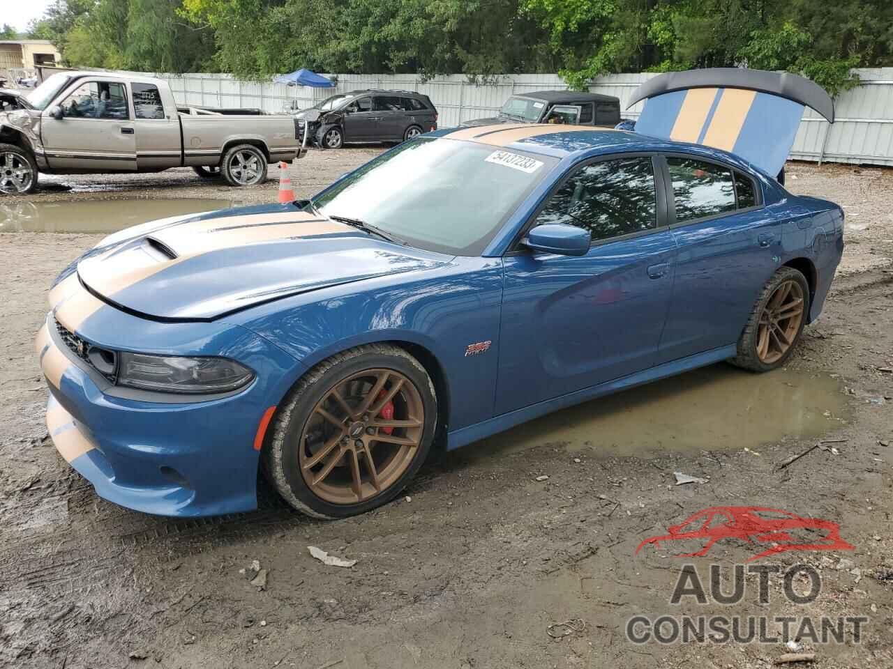 DODGE CHARGER 2020 - 2C3CDXGJ0LH238251