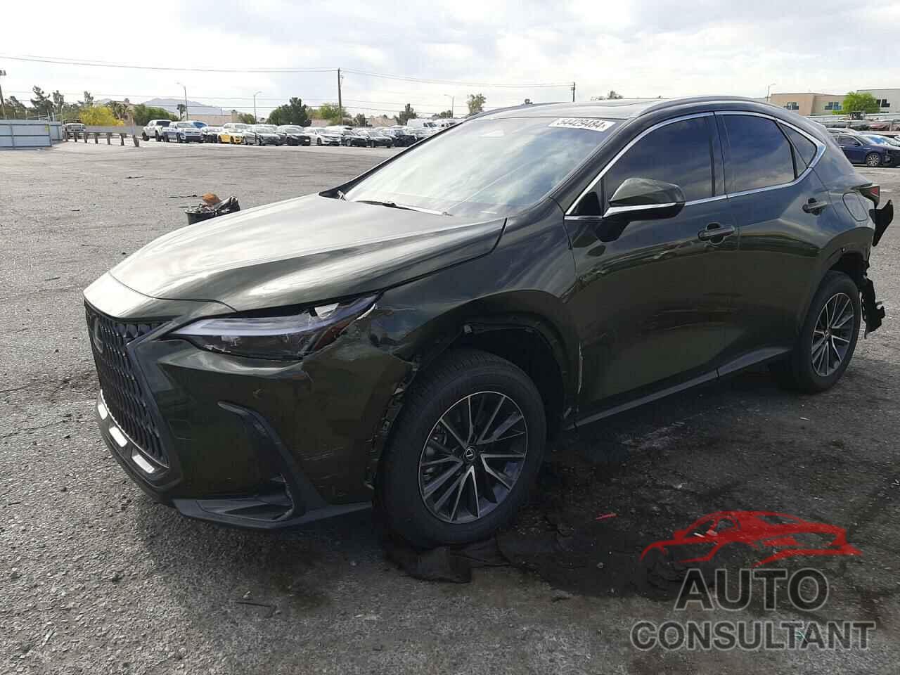 LEXUS NX 350H BA 2024 - 2T2GKCEZ1RC030916