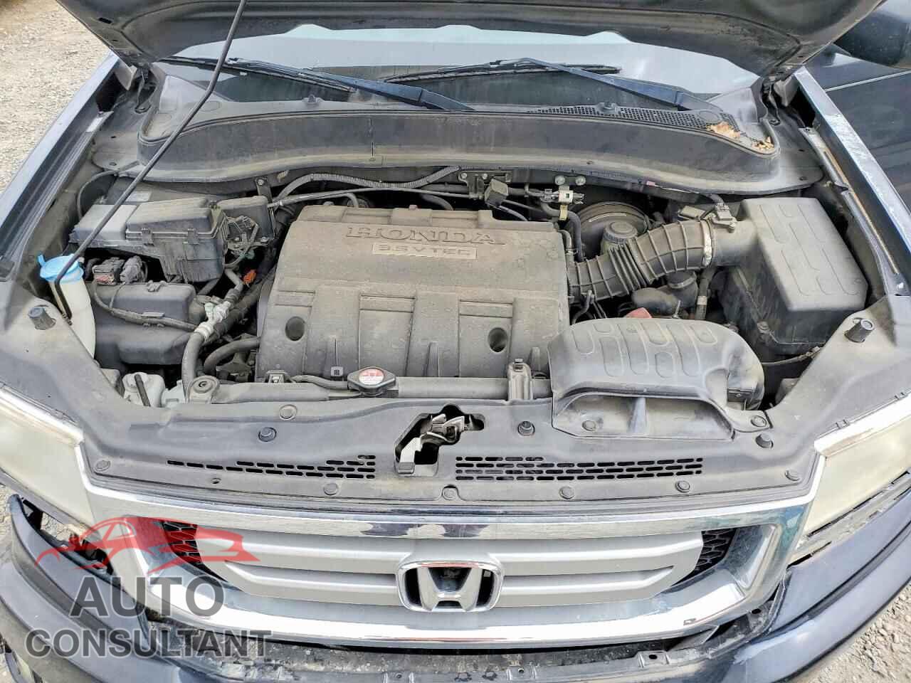 HONDA RIDGELINE 2009 - 5FPYK16559B106391