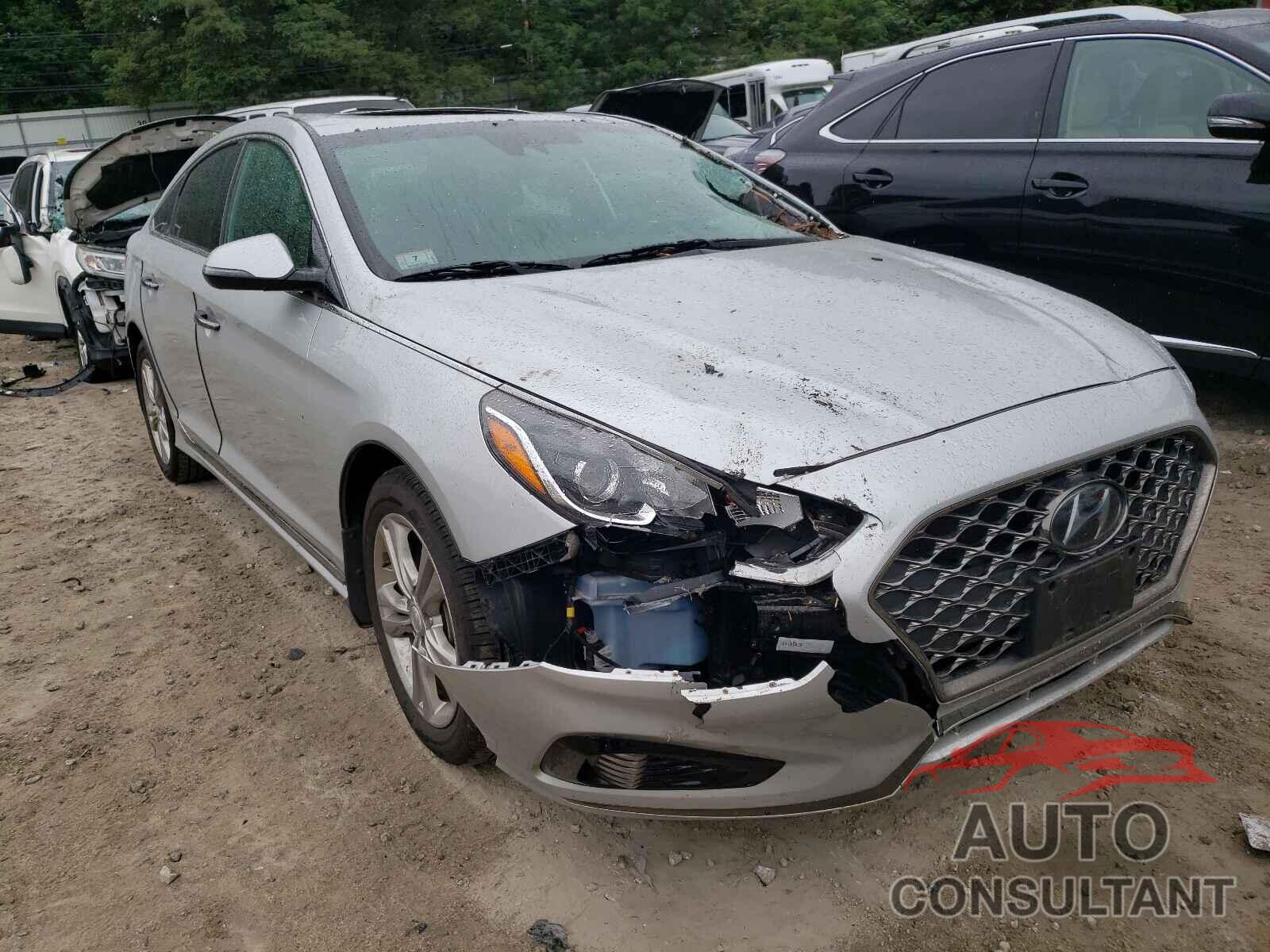 HYUNDAI SONATA 2019 - 5NPE34AF5KH733870