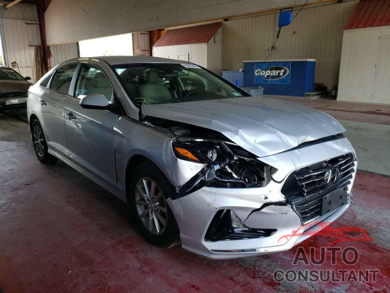 HYUNDAI SONATA 2019 - 5NPE24AF9KH785666