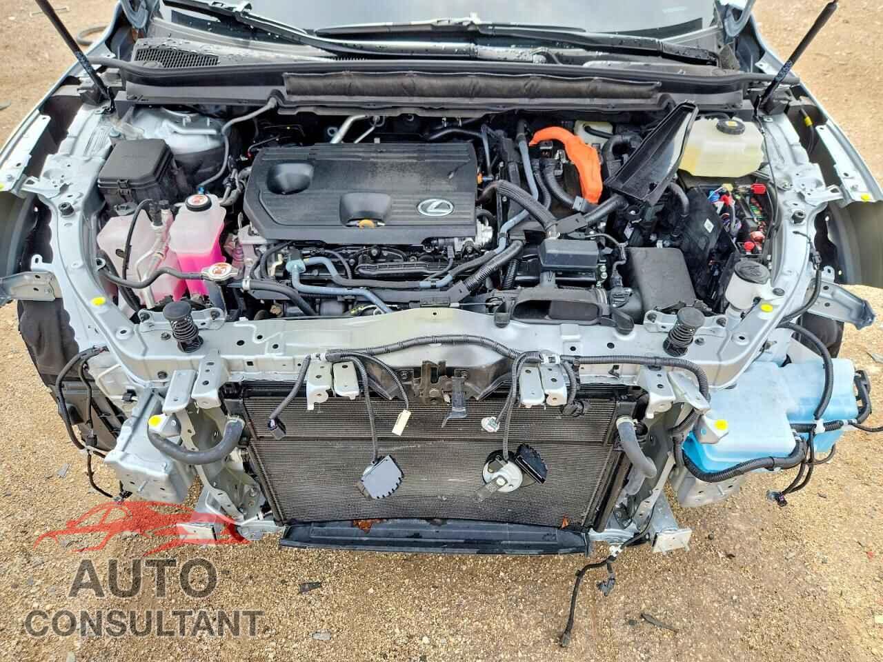 LEXUS RX300 2025 - 2T2BBMCA4SC084889