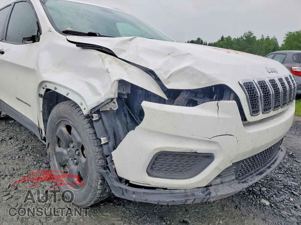 JEEP CHEROKEE 2019 - 1C4PJLAB4KD193486