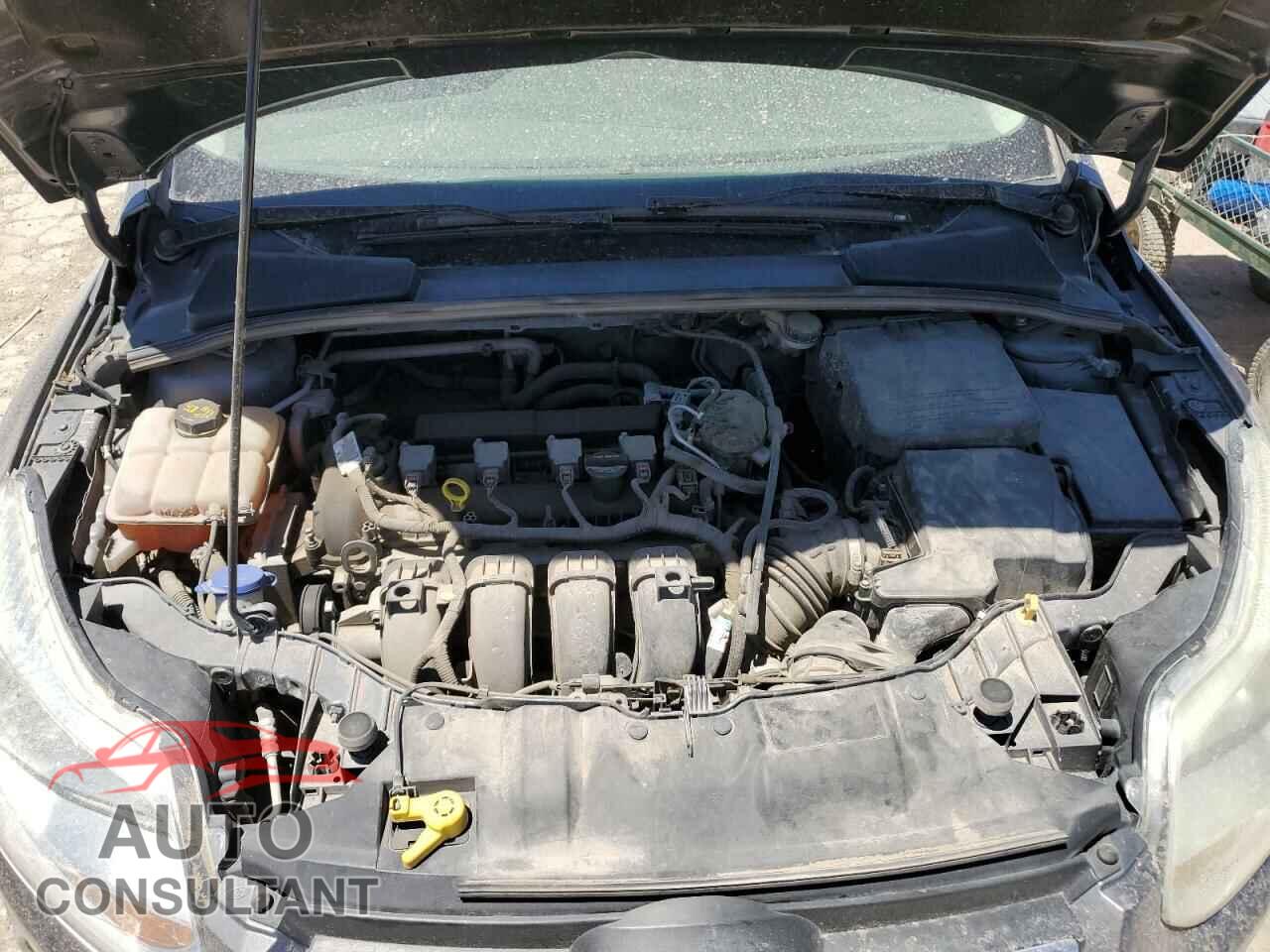 FORD FOCUS 2014 - 1FADP3F28EL241503