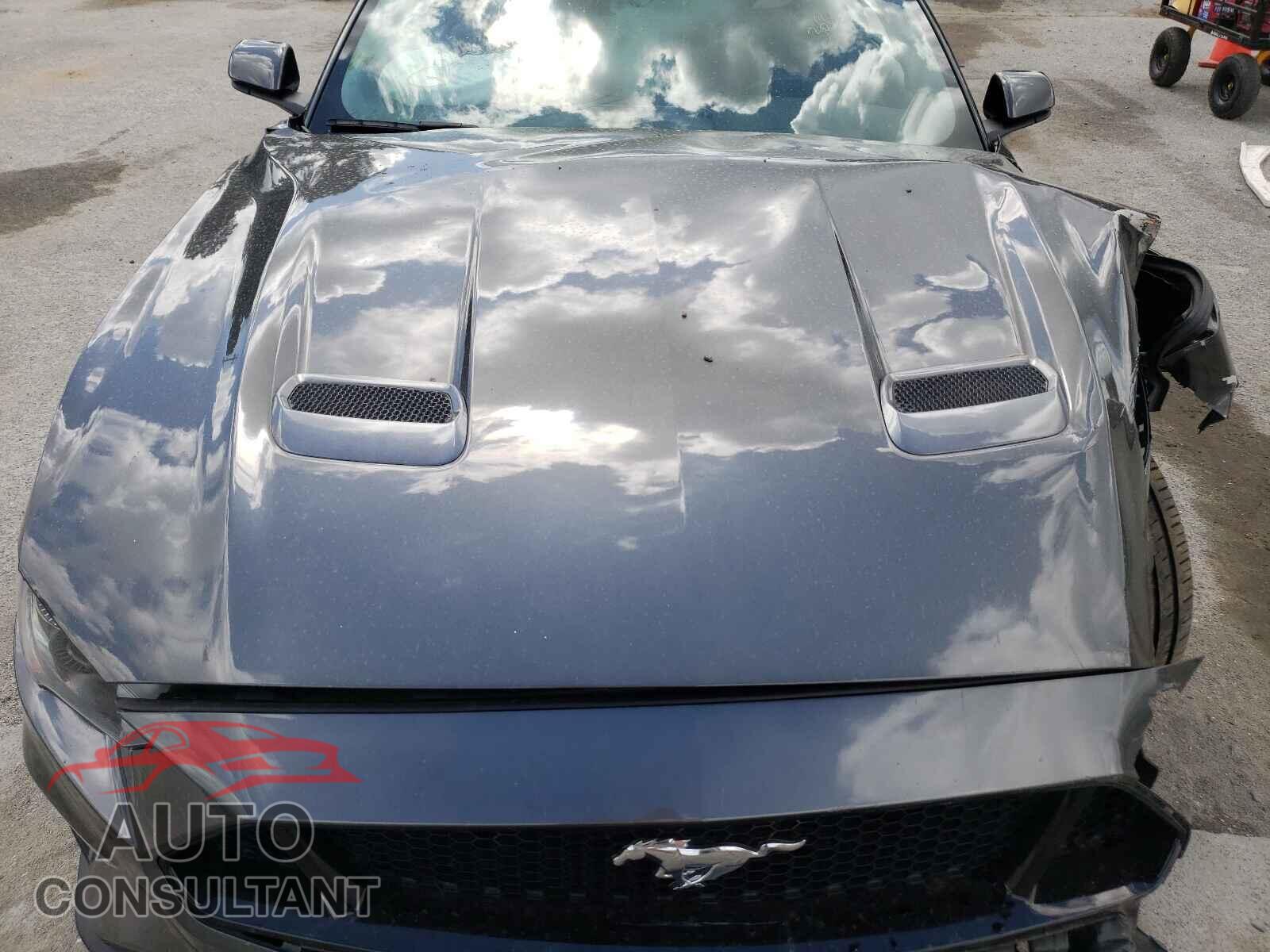 FORD MUSTANG 2019 - 1FA6P8CF1K5146617