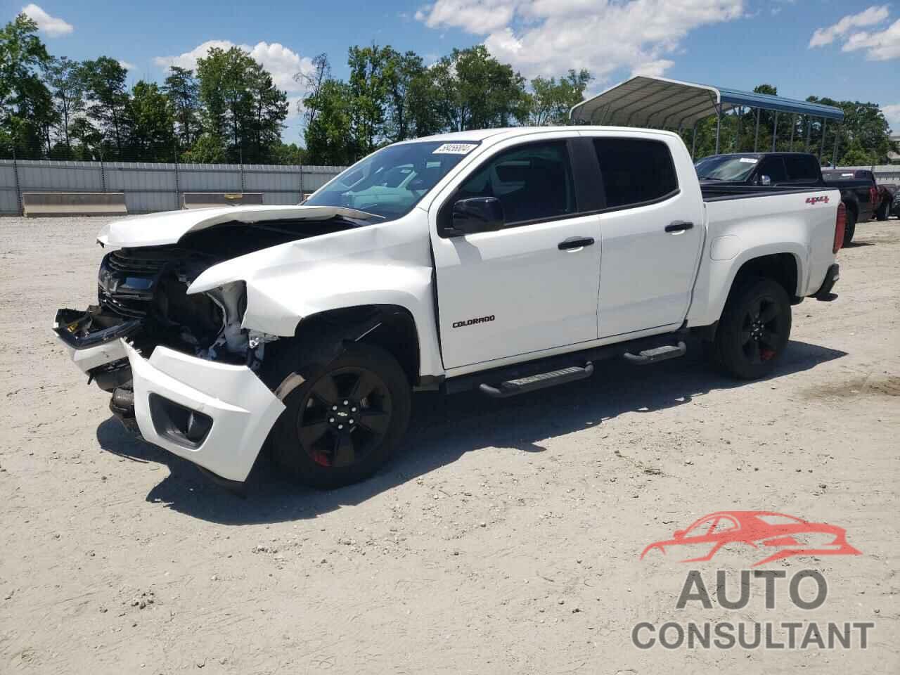 CHEVROLET COLORADO 2019 - 1GCGTCEN5K1202616