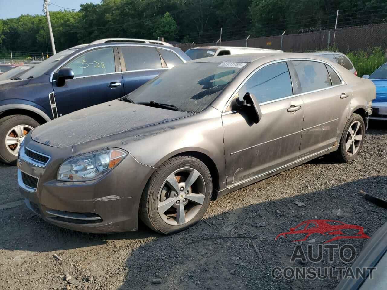 CHEVROLET MALIBU 2011 - 1G1ZC5E14BF225558