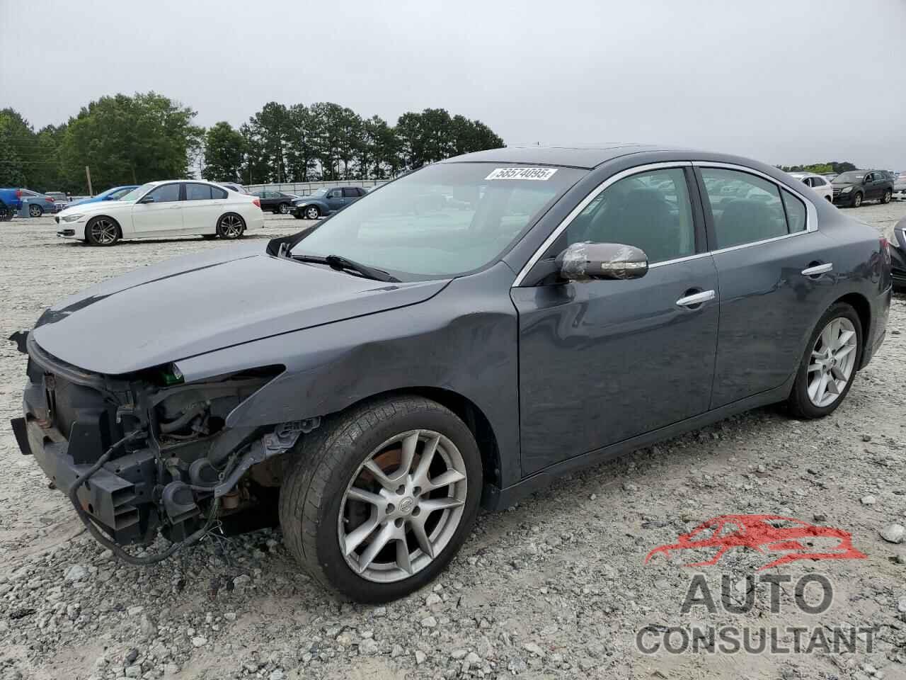NISSAN MAXIMA 2011 - 1N4AA5AP3BC816489