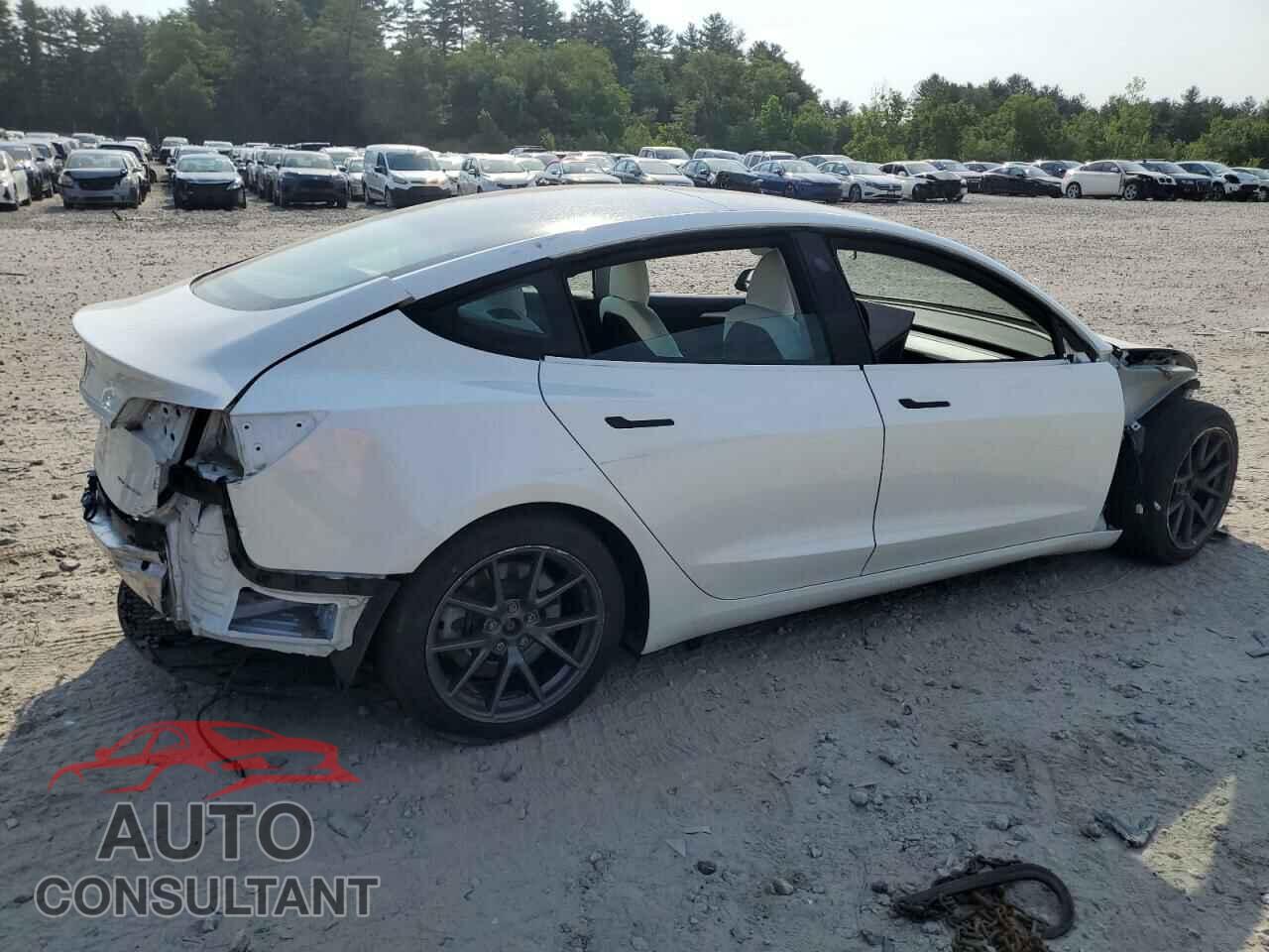TESLA MODEL 3 2021 - 5YJ3E1EB9MF974257
