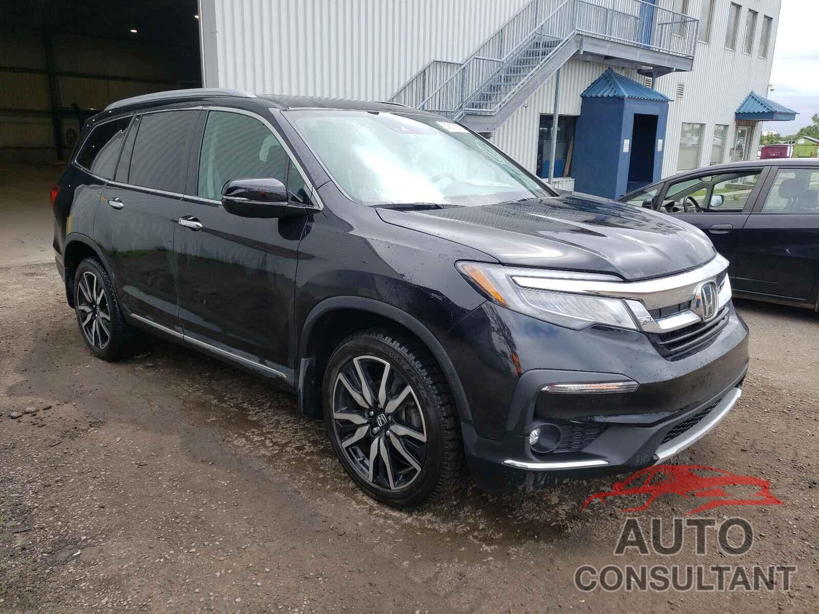 HONDA PILOT 2019 - 5FNYF6H66KB505879