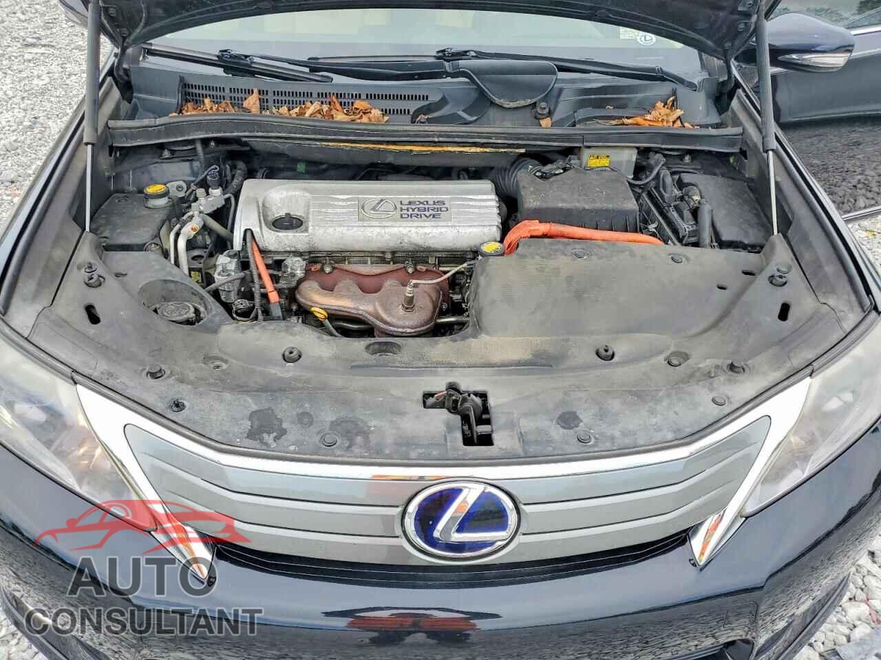 LEXUS HS 2010 - JTHBB1BA1A2001757