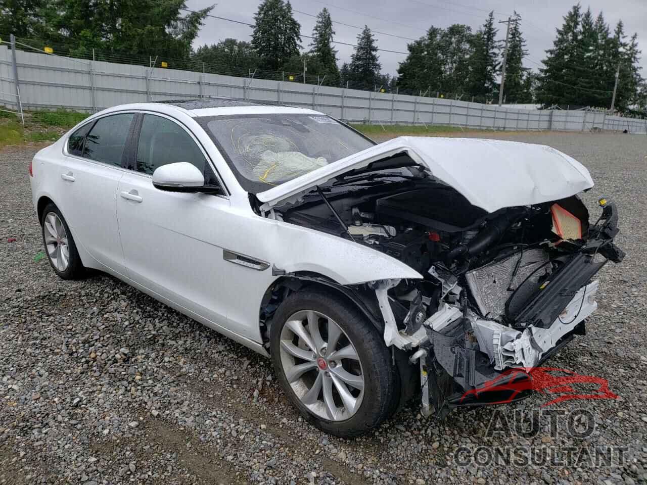 JAGUAR XF 2019 - SAJBJ4FX0KCY79116